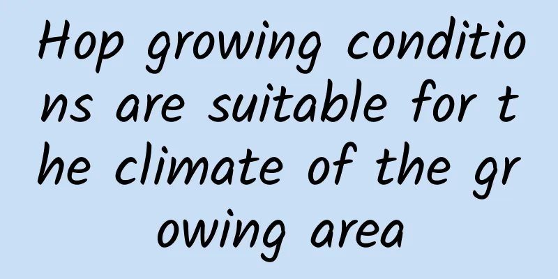 Hop growing conditions are suitable for the climate of the growing area