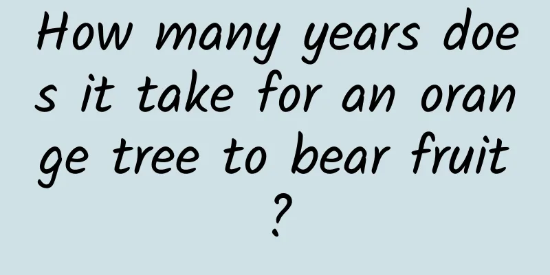 How many years does it take for an orange tree to bear fruit?