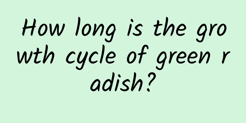 How long is the growth cycle of green radish?