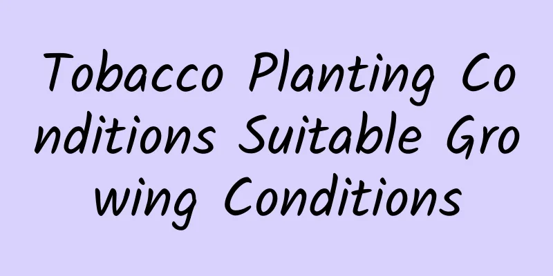 Tobacco Planting Conditions Suitable Growing Conditions