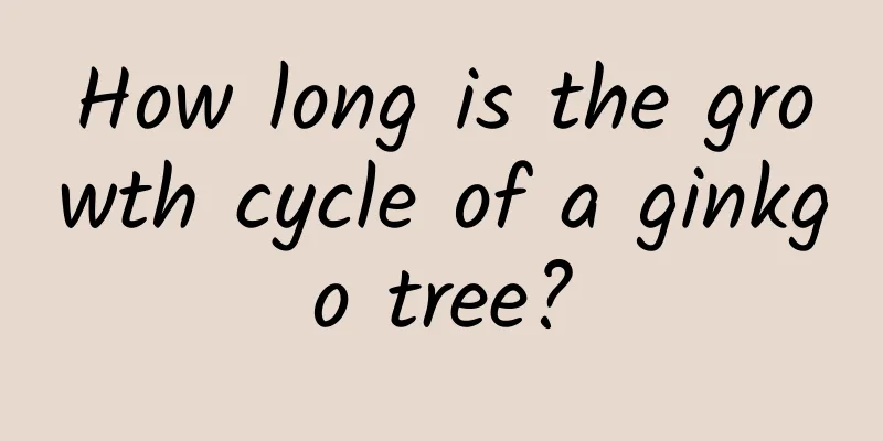 How long is the growth cycle of a ginkgo tree?