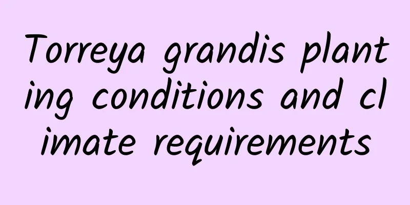 Torreya grandis planting conditions and climate requirements