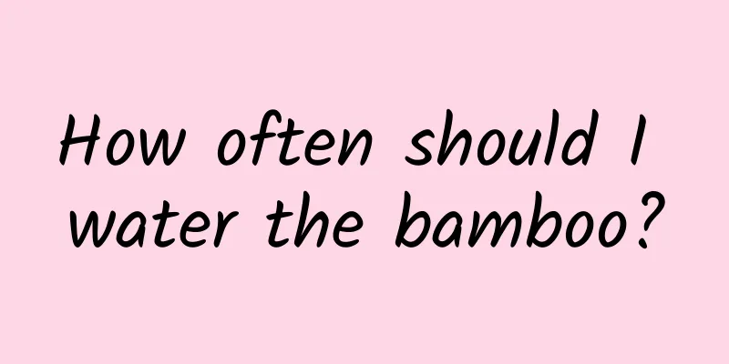 How often should I water the bamboo?