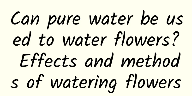 Can pure water be used to water flowers? Effects and methods of watering flowers
