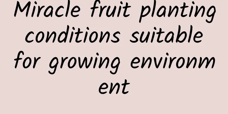Miracle fruit planting conditions suitable for growing environment