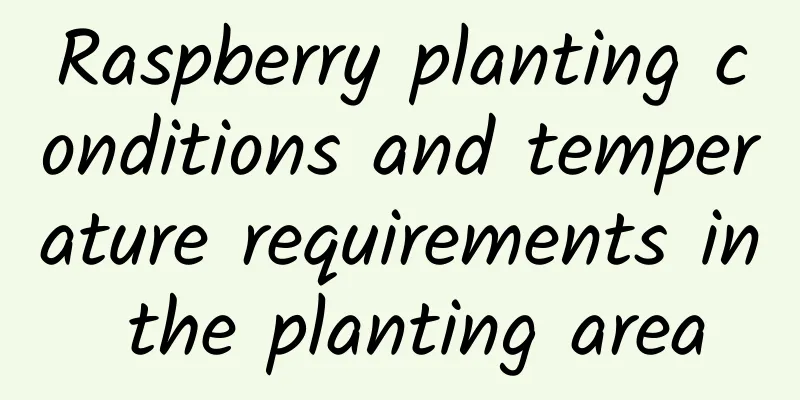 Raspberry planting conditions and temperature requirements in the planting area