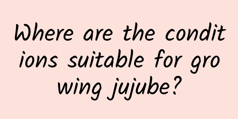 Where are the conditions suitable for growing jujube?