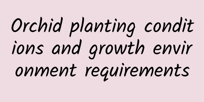 Orchid planting conditions and growth environment requirements