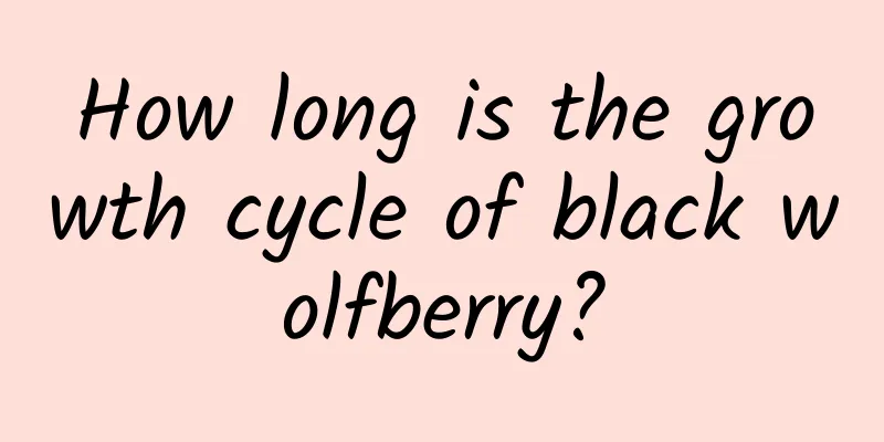 How long is the growth cycle of black wolfberry?