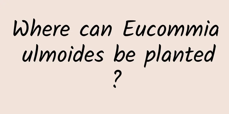 Where can Eucommia ulmoides be planted?