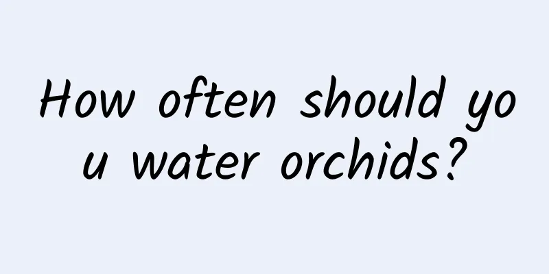 How often should you water orchids?