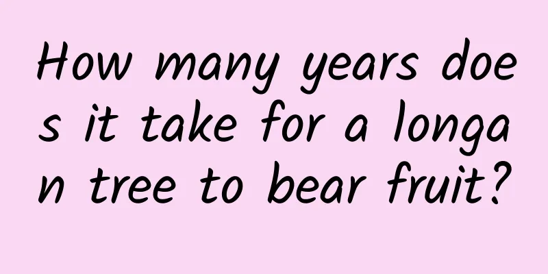 How many years does it take for a longan tree to bear fruit?