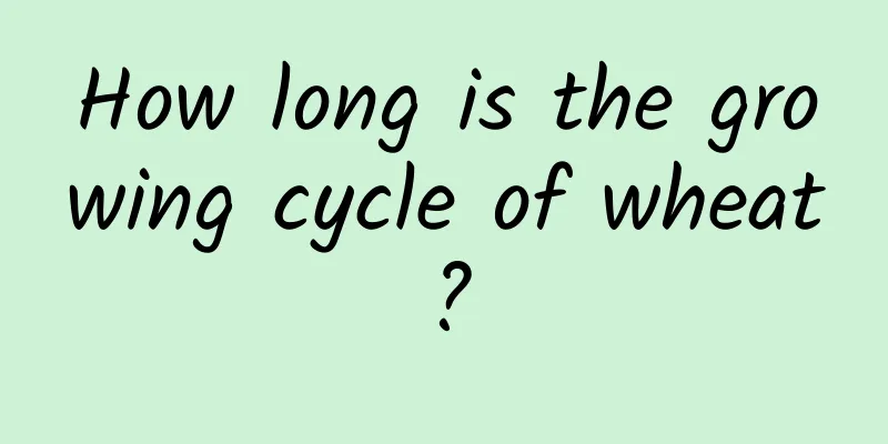 How long is the growing cycle of wheat?