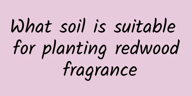 What soil is suitable for planting redwood fragrance