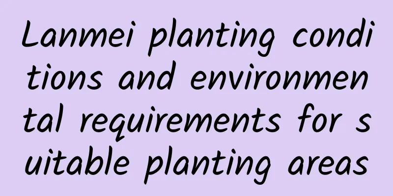Lanmei planting conditions and environmental requirements for suitable planting areas