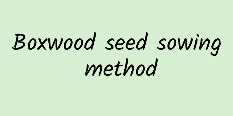 Boxwood seed sowing method
