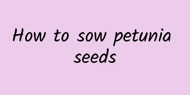 How to sow petunia seeds