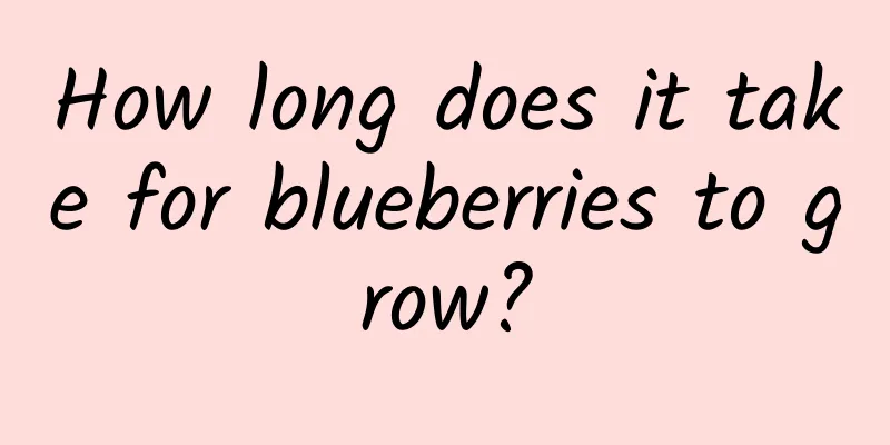 How long does it take for blueberries to grow?