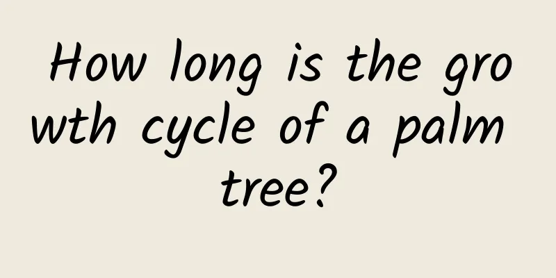 How long is the growth cycle of a palm tree?