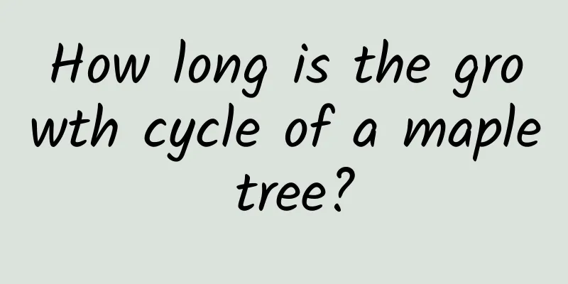 How long is the growth cycle of a maple tree?