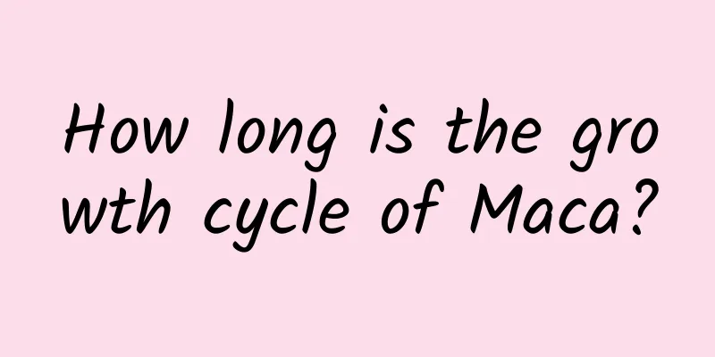 How long is the growth cycle of Maca?