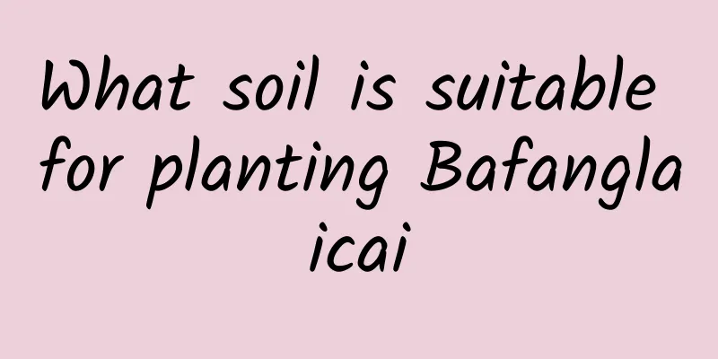 What soil is suitable for planting Bafanglaicai