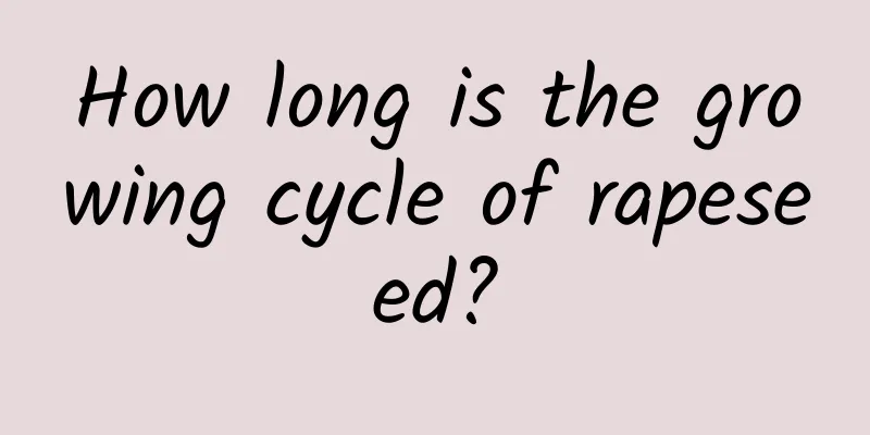 How long is the growing cycle of rapeseed?