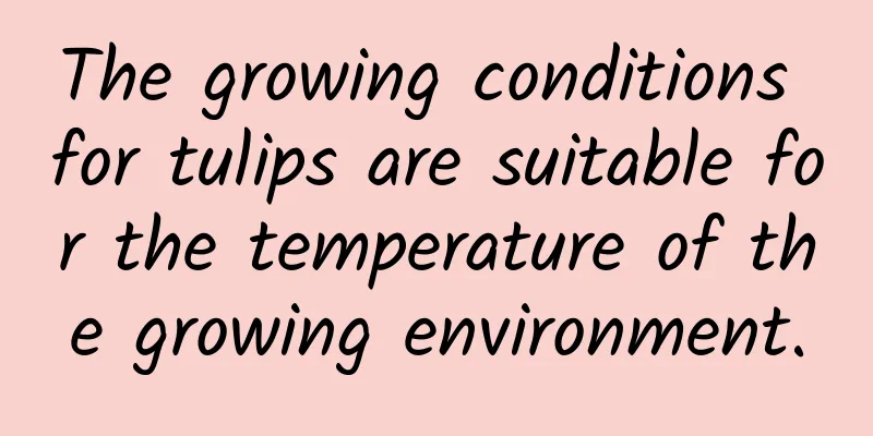 The growing conditions for tulips are suitable for the temperature of the growing environment.