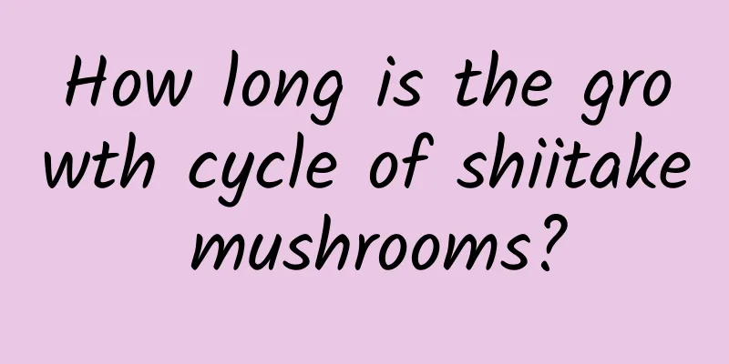 How long is the growth cycle of shiitake mushrooms?