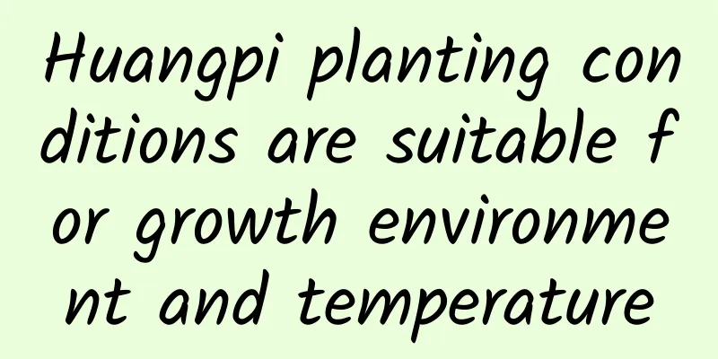 Huangpi planting conditions are suitable for growth environment and temperature
