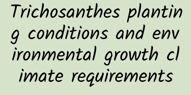 Trichosanthes planting conditions and environmental growth climate requirements