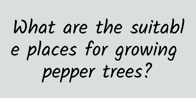 What are the suitable places for growing pepper trees?
