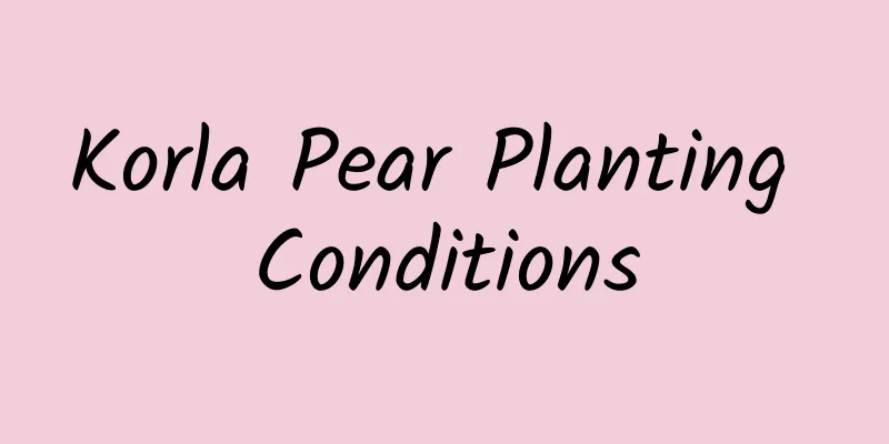 Korla Pear Planting Conditions
