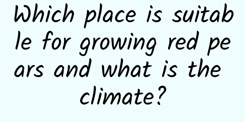 Which place is suitable for growing red pears and what is the climate?