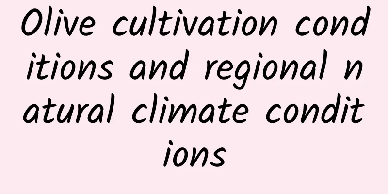 Olive cultivation conditions and regional natural climate conditions