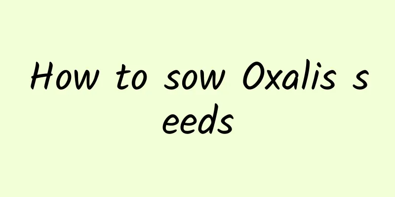 How to sow Oxalis seeds