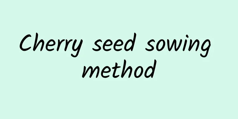 Cherry seed sowing method