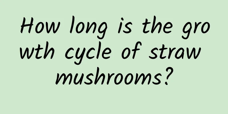 How long is the growth cycle of straw mushrooms?