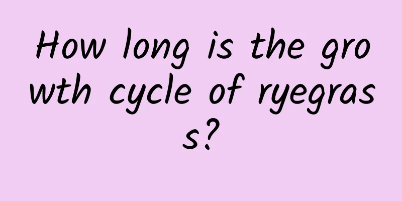How long is the growth cycle of ryegrass?
