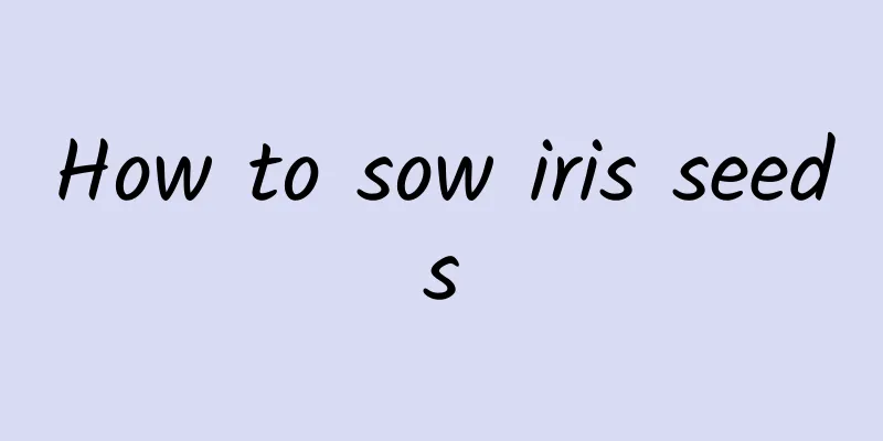 How to sow iris seeds