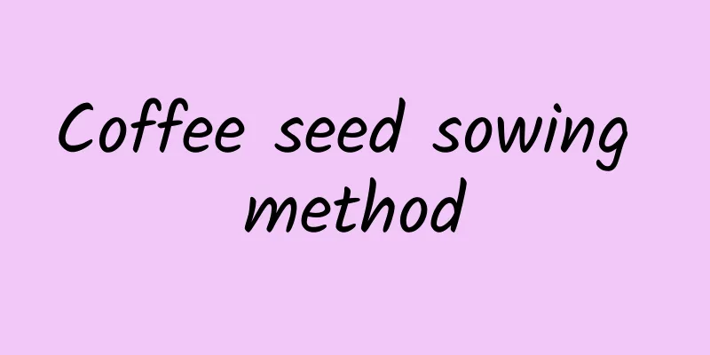 Coffee seed sowing method