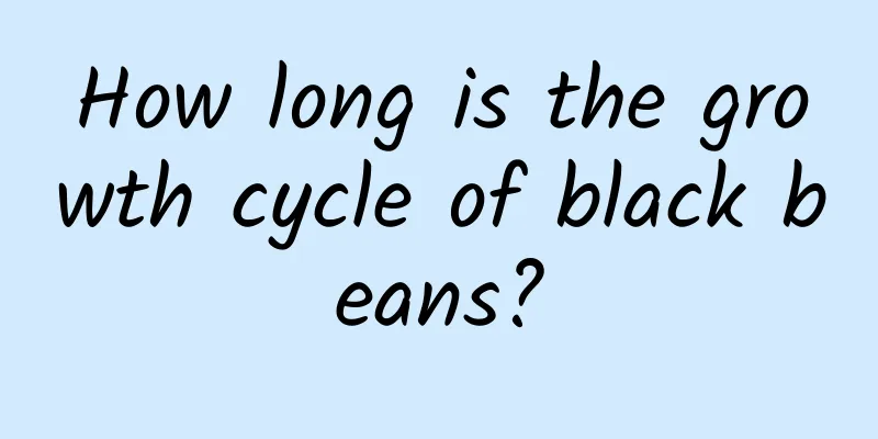 How long is the growth cycle of black beans?