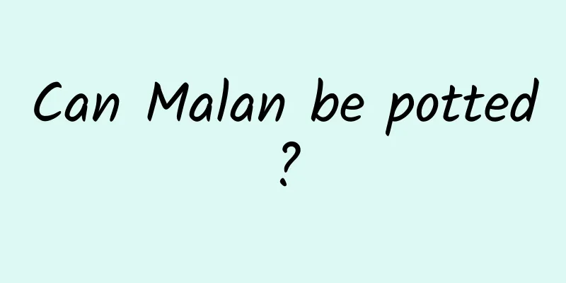 Can Malan be potted?