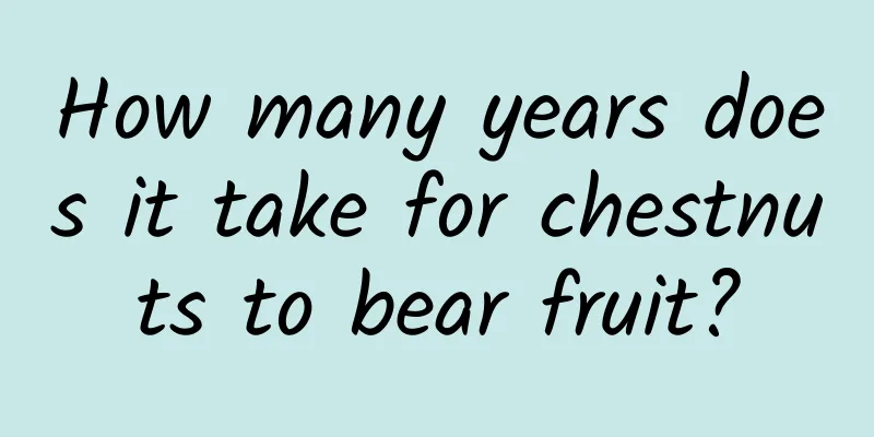 How many years does it take for chestnuts to bear fruit?