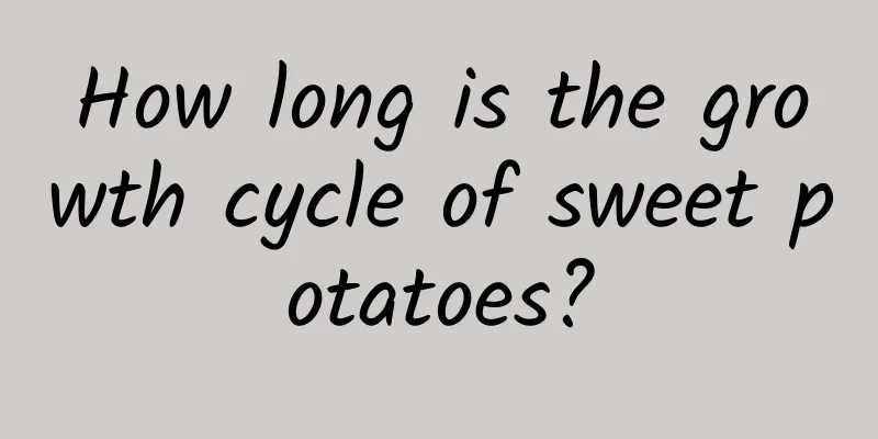 How long is the growth cycle of sweet potatoes?