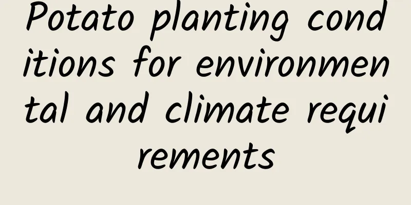 Potato planting conditions for environmental and climate requirements