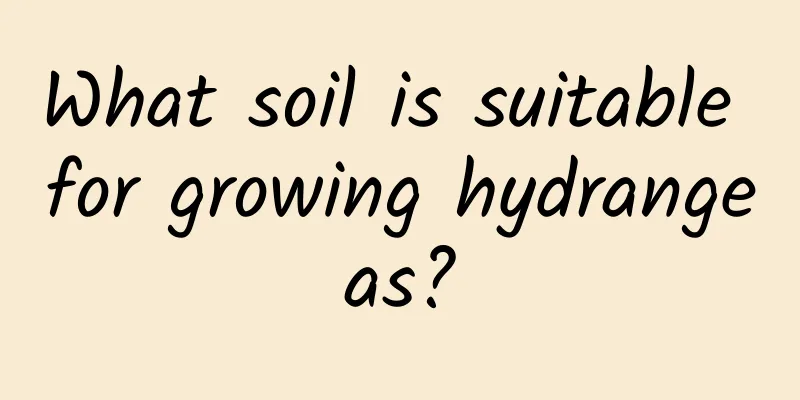 What soil is suitable for growing hydrangeas?