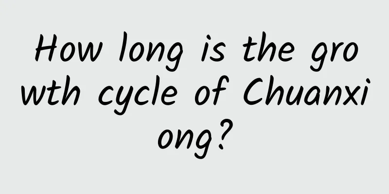 How long is the growth cycle of Chuanxiong?