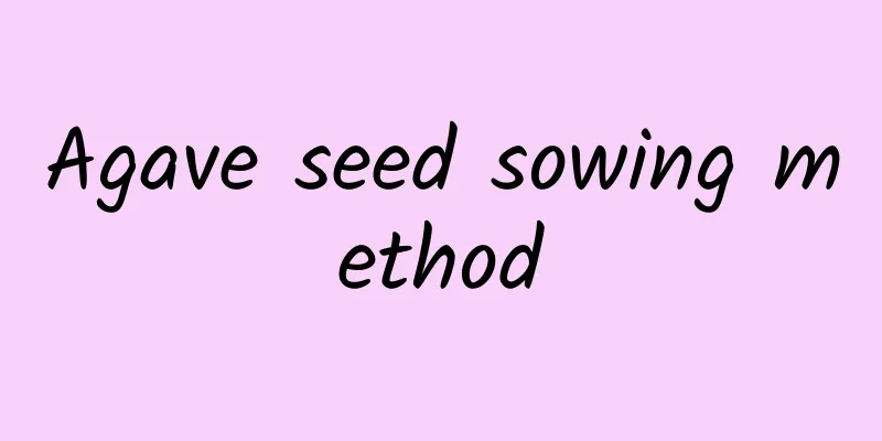 Agave seed sowing method