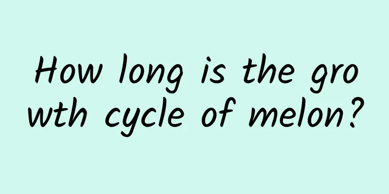 How long is the growth cycle of melon?